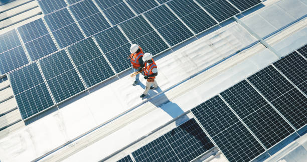 Best Roof Moss and Algae Removal  in Windham, OH